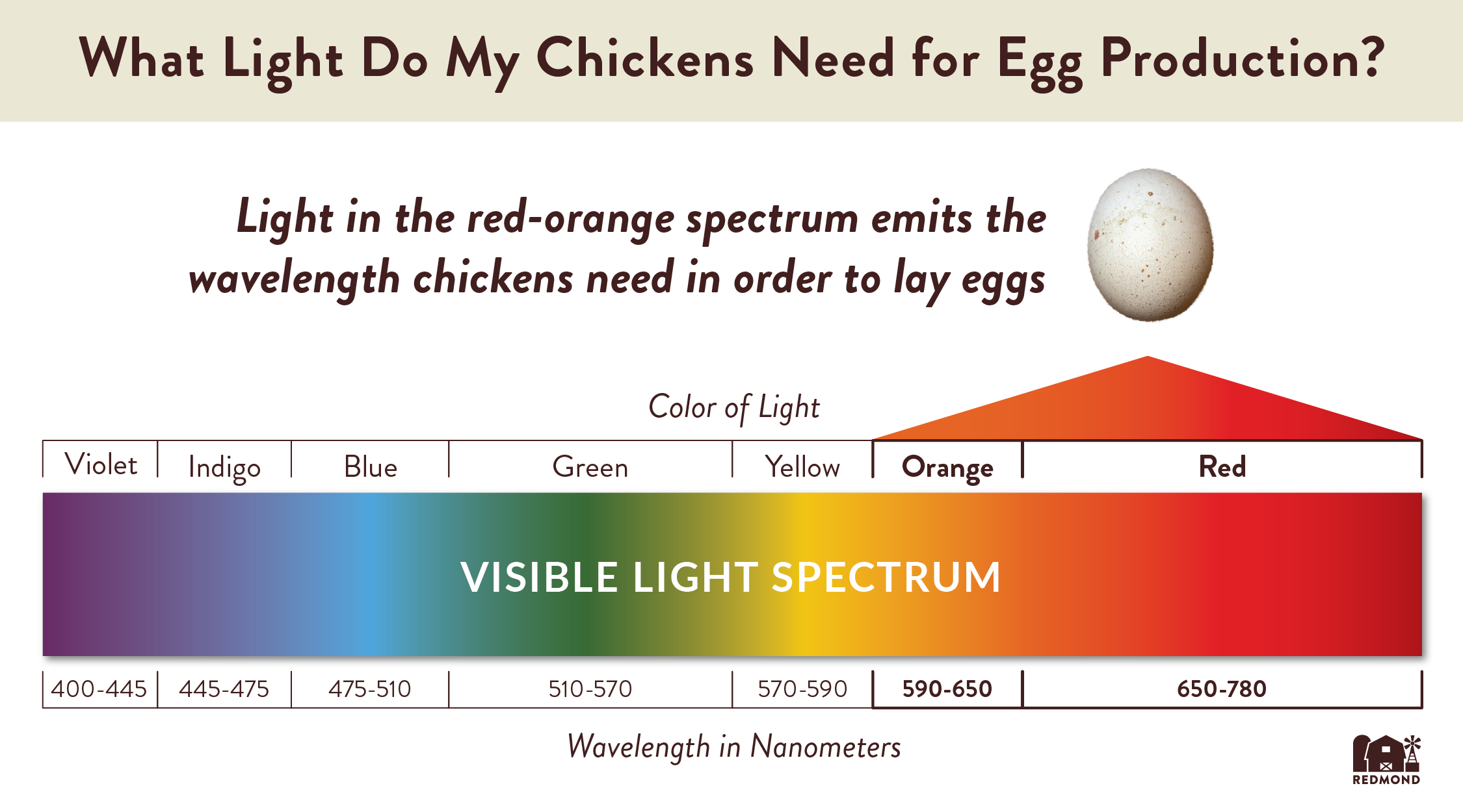 How Does Light Affect Egg Production?